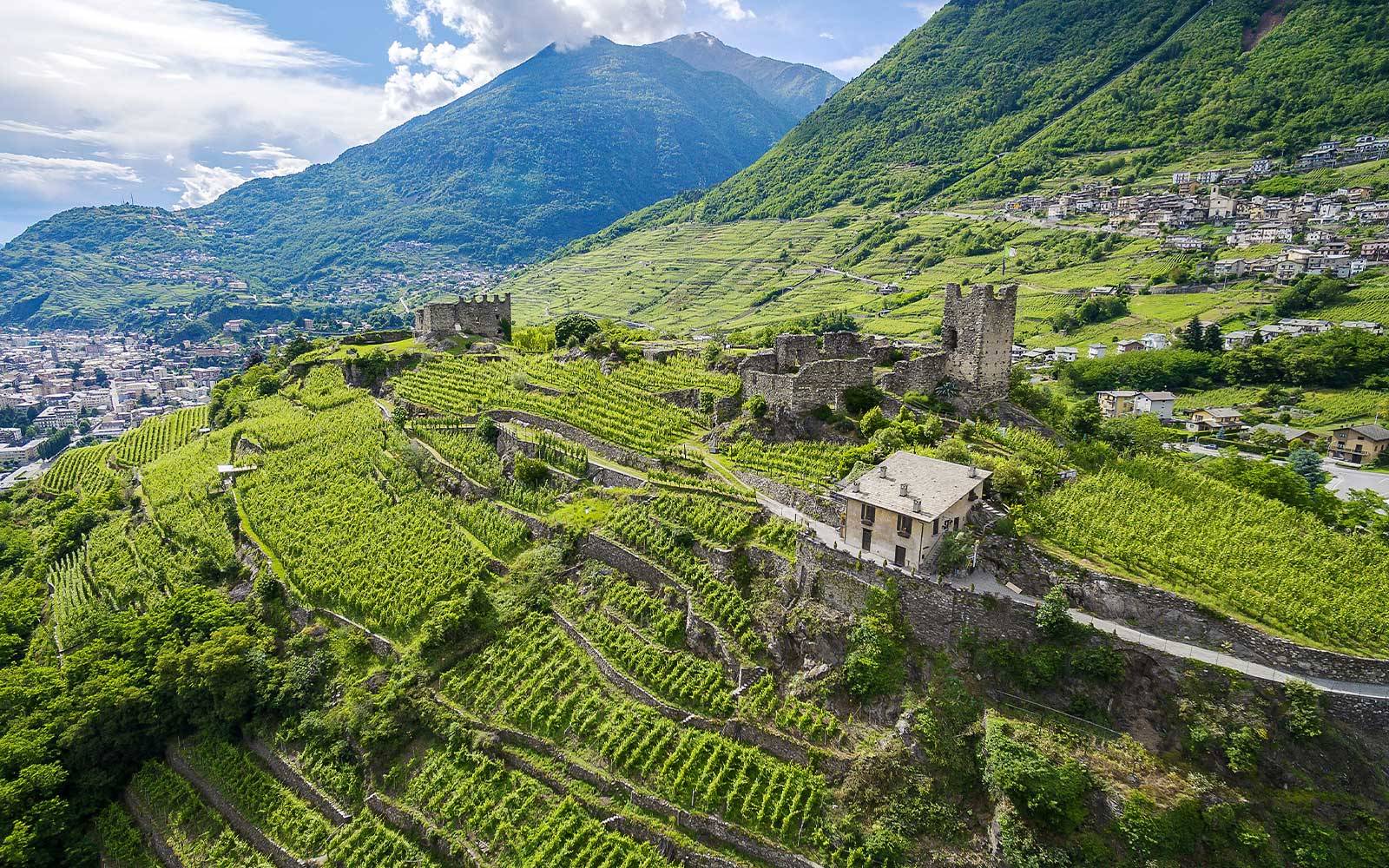 Terrazzamenti Valtellina